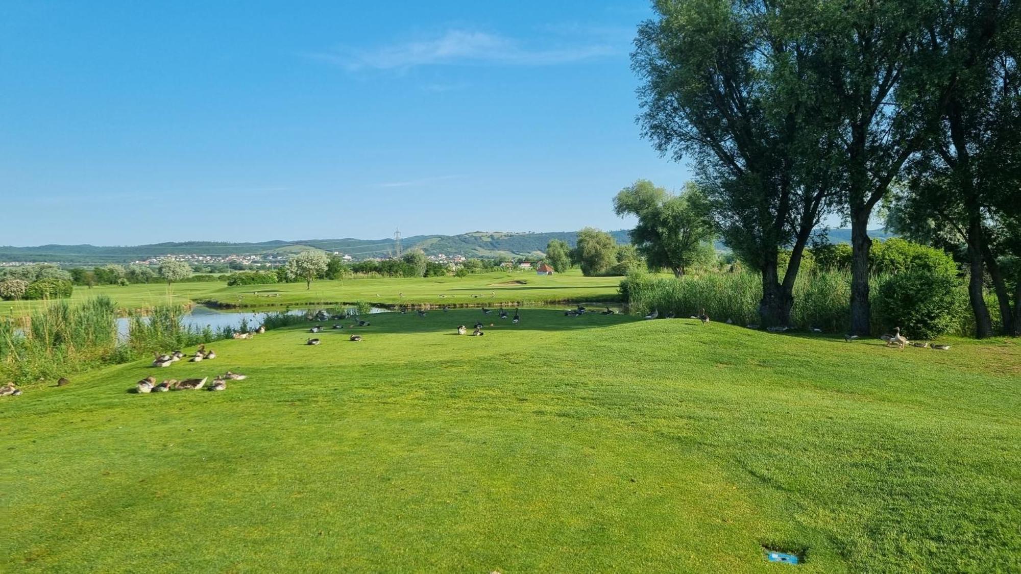 Birkenhof Gols - B & B - Wohlfuehl Hotel Mit Wochenend-Restaurant Εξωτερικό φωτογραφία